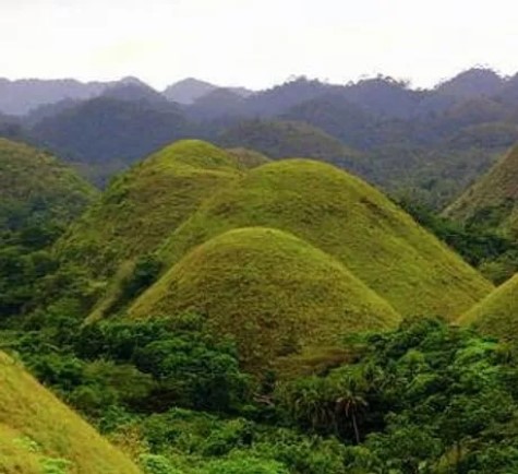 Chocolate Hills